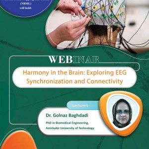 Harmony in the Brain: Exploring EEG Synchronization and Connectivity Webinar